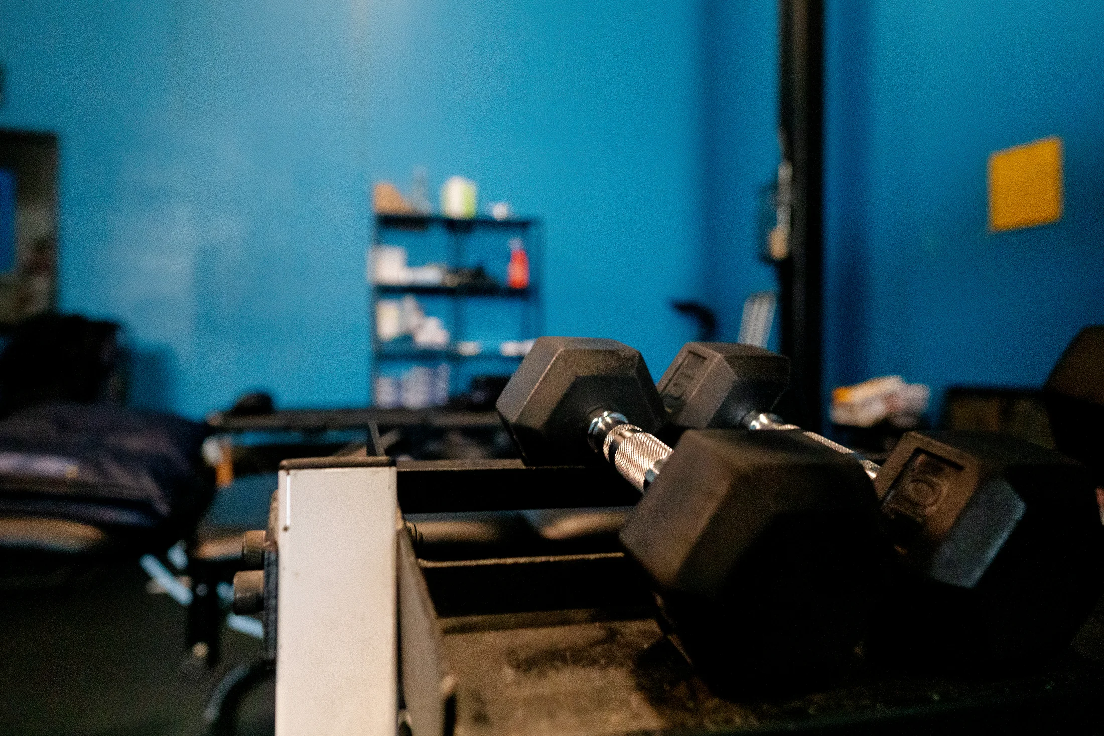 Strength equipment inside the Limitless performance space